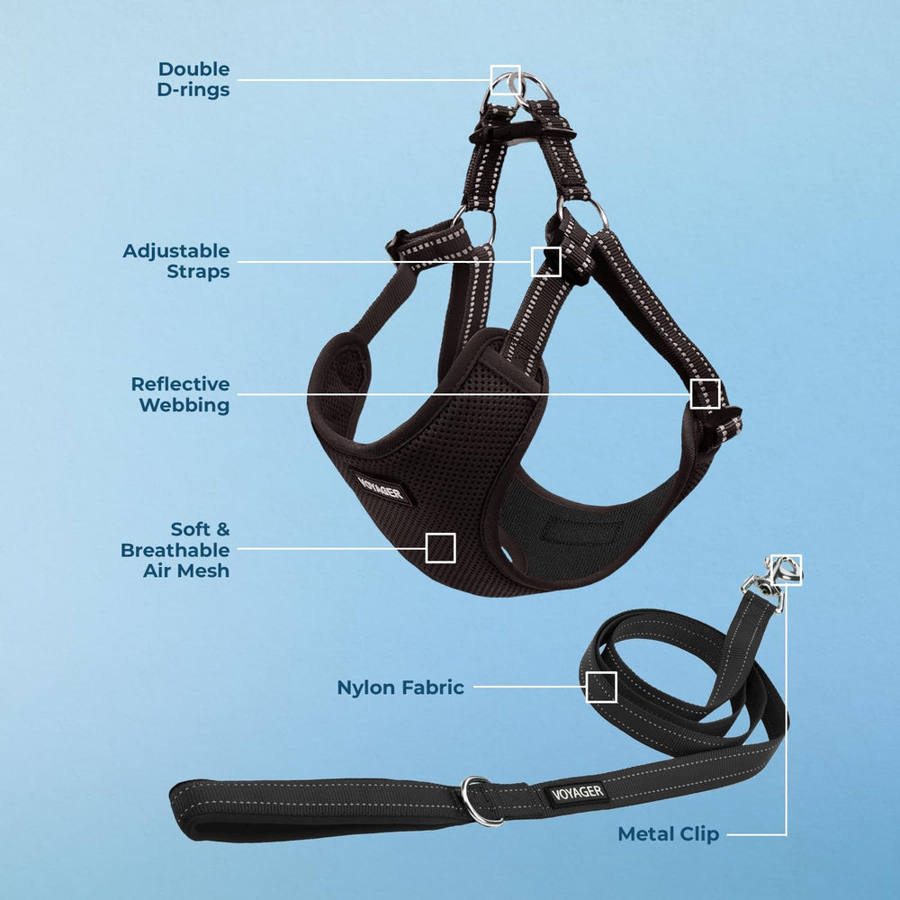 Best Pet Supplies dog harness showing its step-in design.