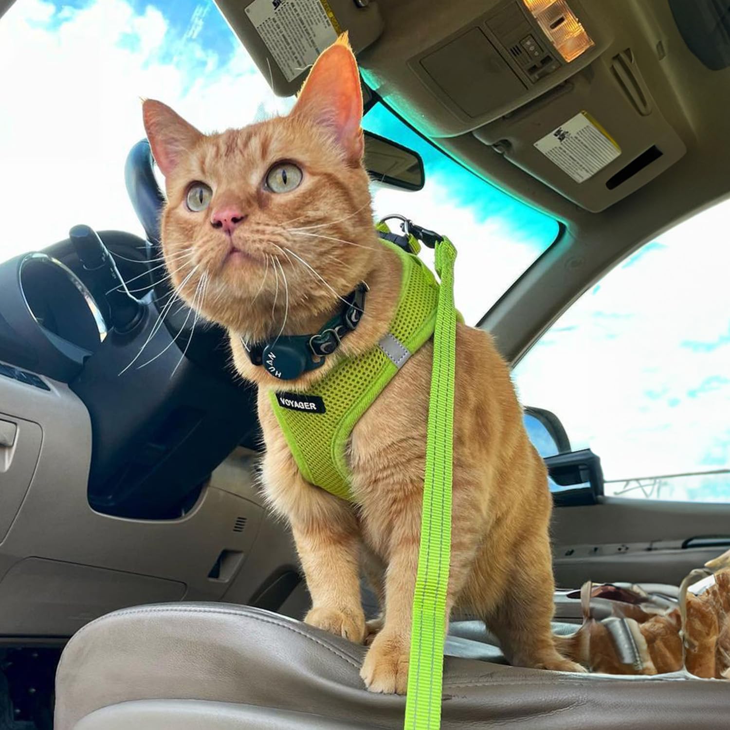 Best Pet Supplies dog leash shown at full length.