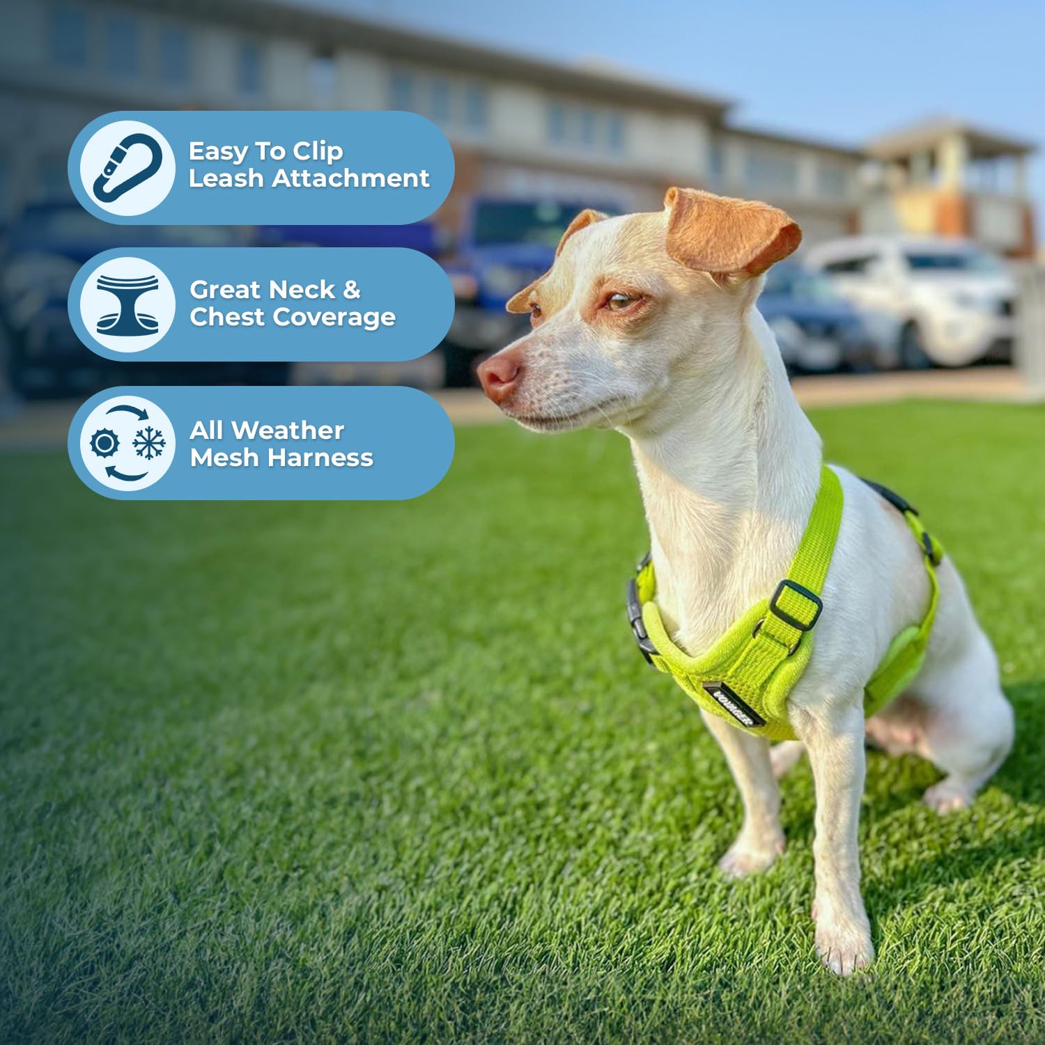 Best Pet Supplies harness hook-and-loop fastener shown in detail.