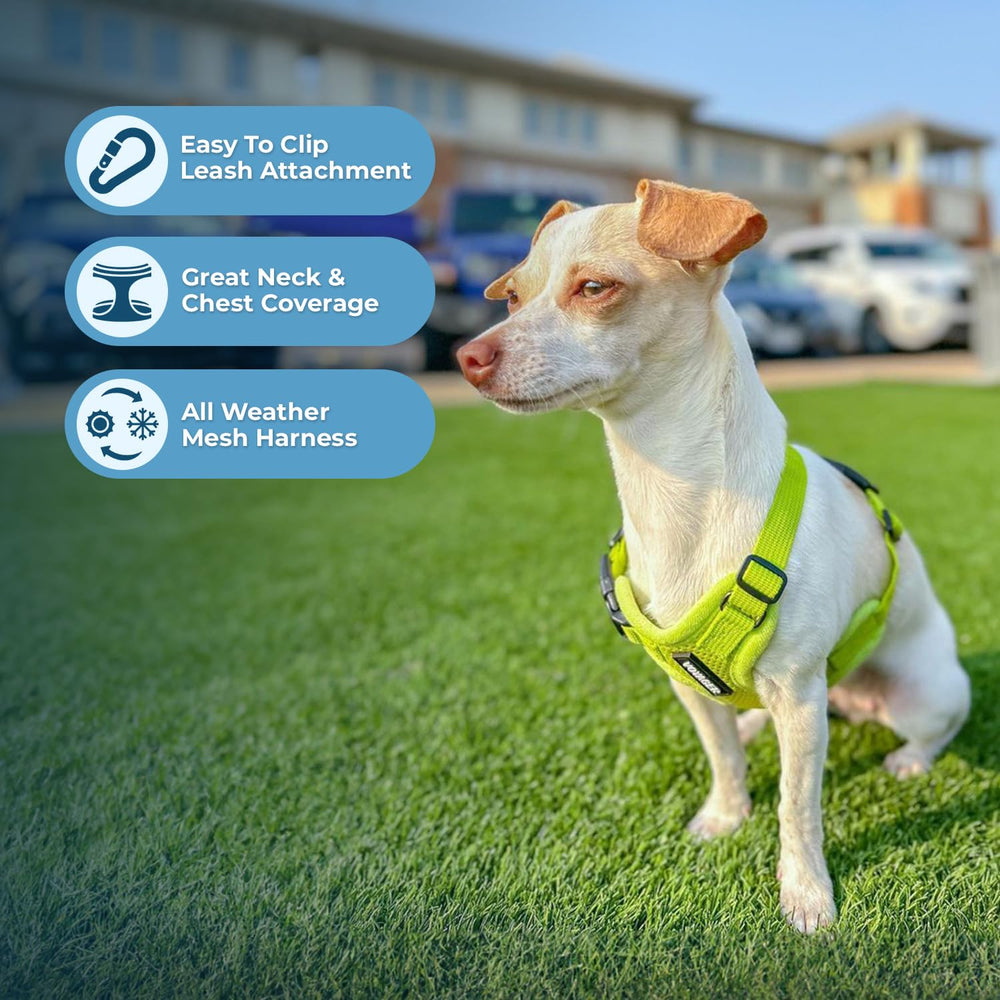 Best Pet Supplies harness hook-and-loop fastener shown in detail.