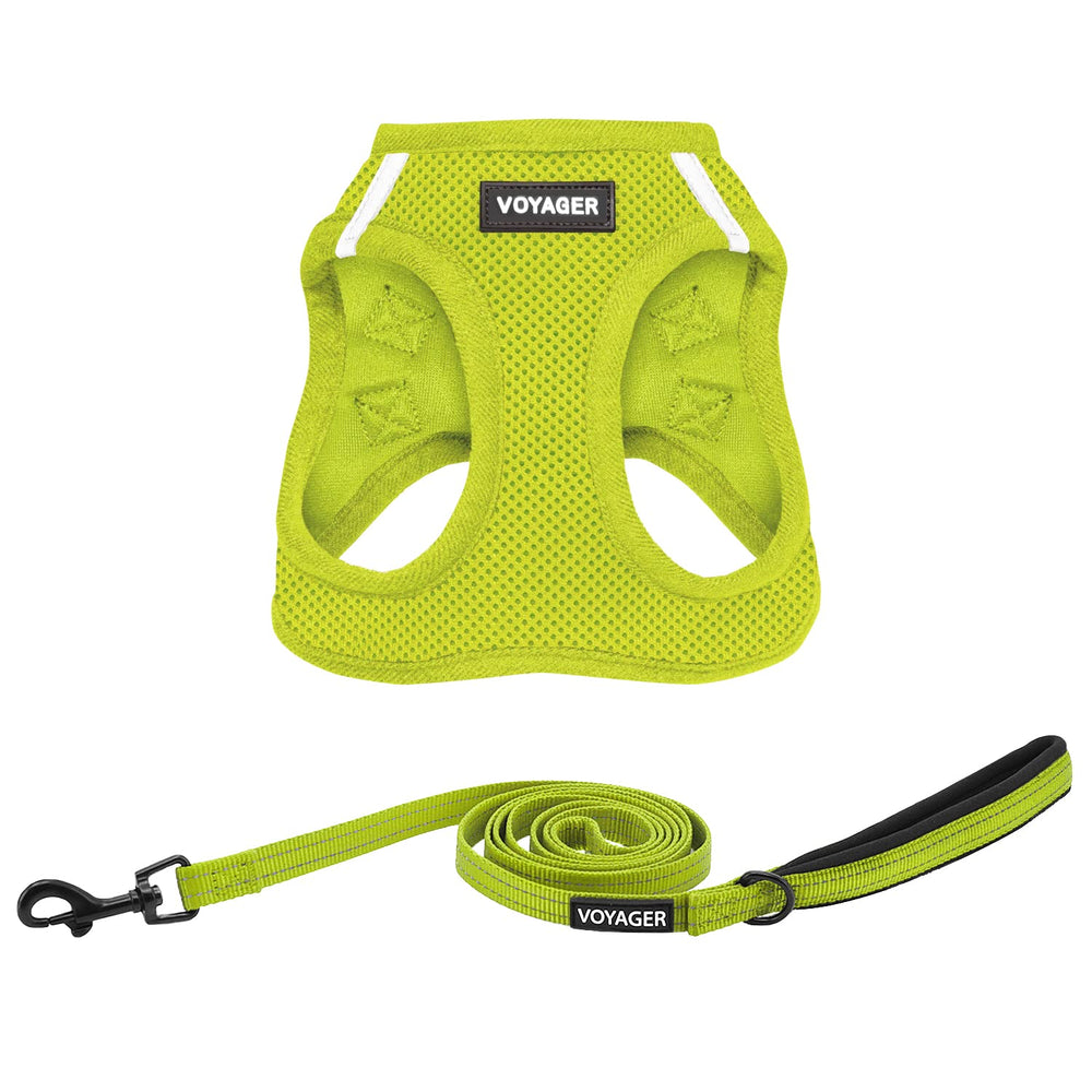 Best Pet Supplies harness and leash combo shown together.