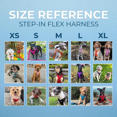 Best Pet Supplies Voyager harness shown being worn by a dog.