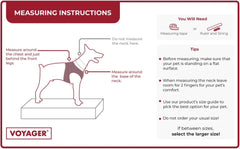 Best Pet Supplies Voyager harness sizing guide shown for measuring a dog.