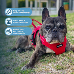 Best Pet Supplies Voyager harness and included leash shown together.