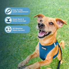 Best Pet Supplies Voyager harness shown in its step-in vest design.