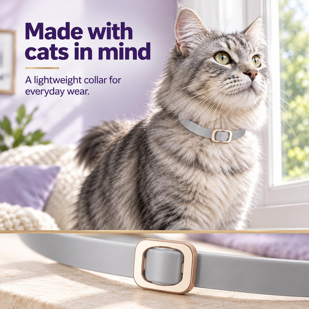 BestHoby flea and tick collar showing its adjustable fit.