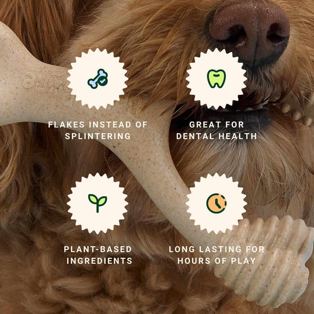 BetterBone dog chew showing the curved grip points of its wishbone design.