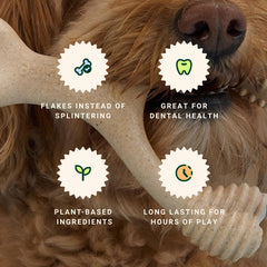 BetterBone dog chew showing the curved grip points of its wishbone design.