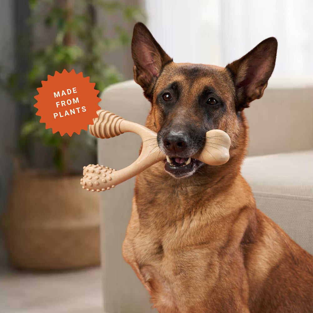 BetterBone wishbone dog chew showing its curved overall shape.