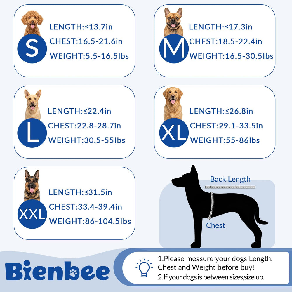 Bienbee Dog Bathrobe shown from the rear.