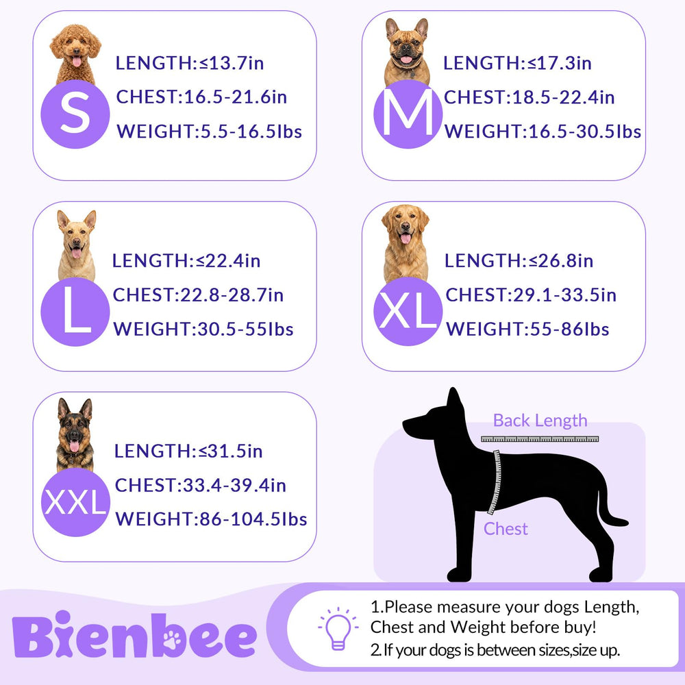 Bienbee Dog Bathrobe worn as soft winter pajamas for a dog.