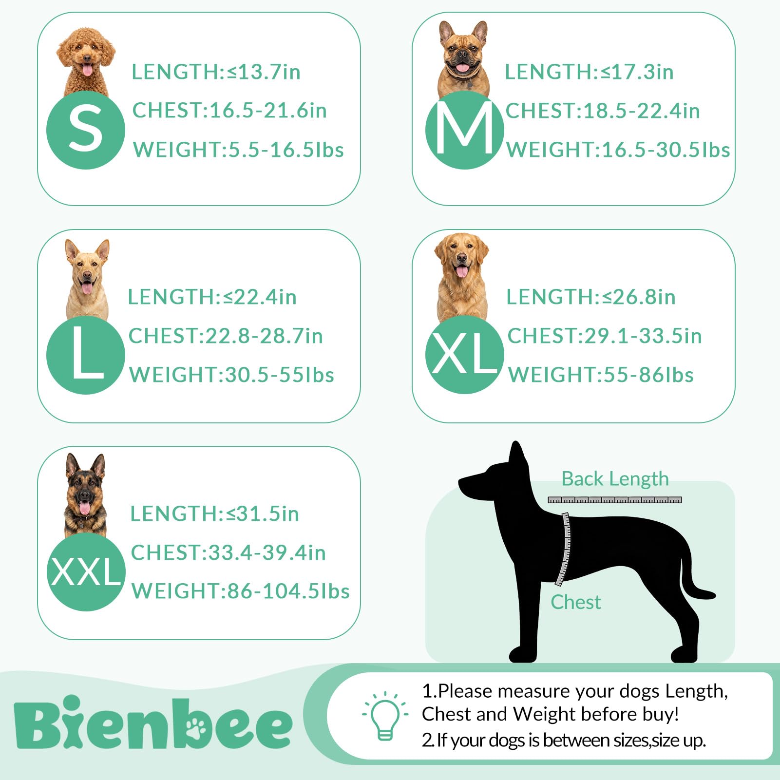 Bienbee dog bathrobe shown as a winter pajama layer for a dog.