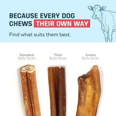 A dog chewing a Big Lu bully stick.