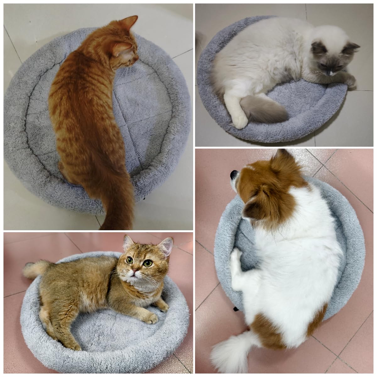 Billionchains Round Cat Bed showing its soft, plush surface.