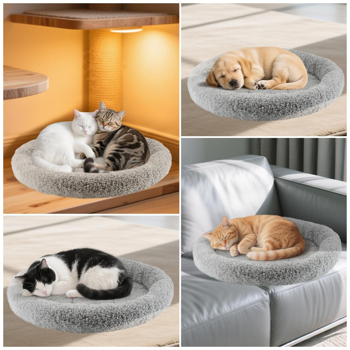 Billionchains Round Cat Bed with its raised rim visible.