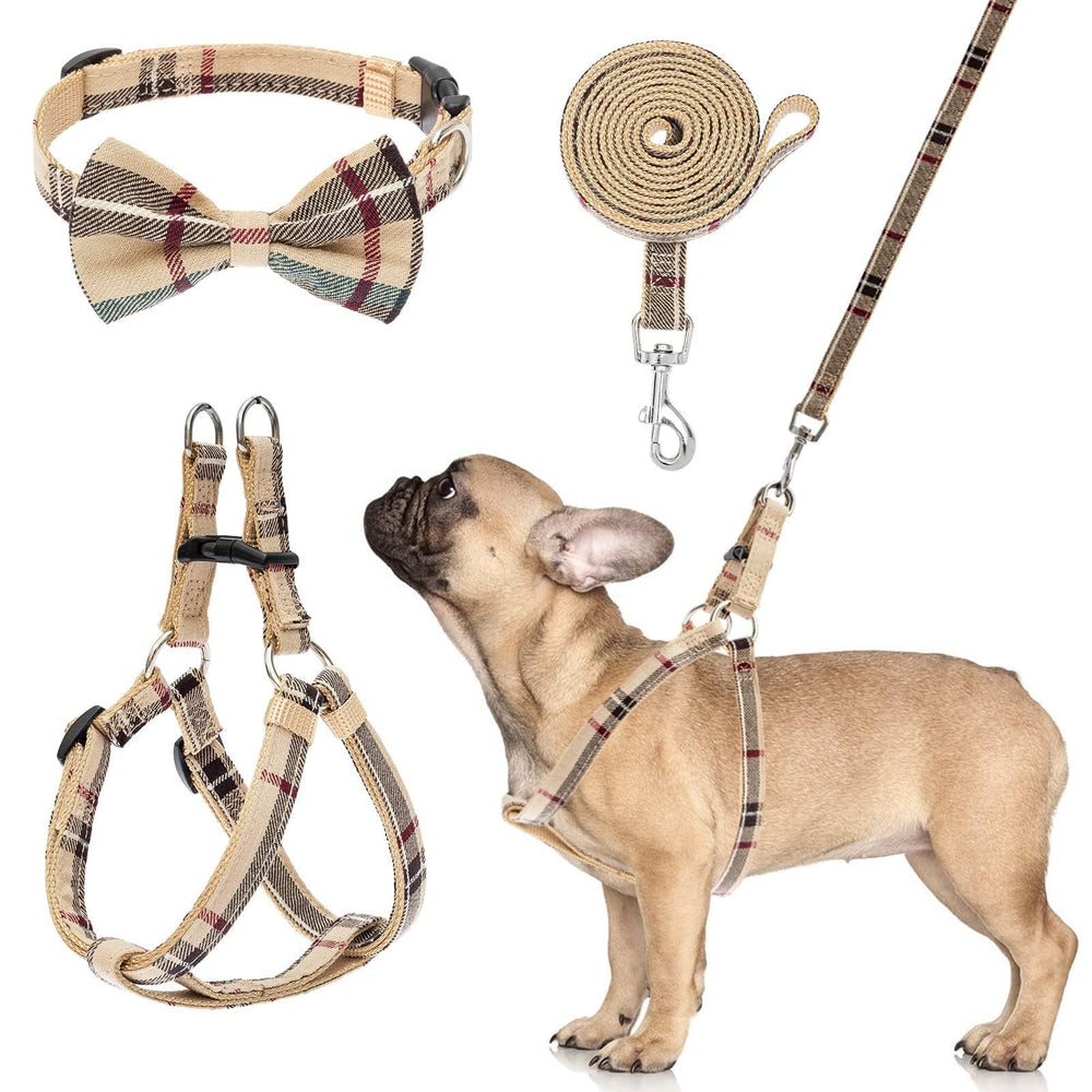 BINGPET dog harness set shown from the front with its matching collar and leash.