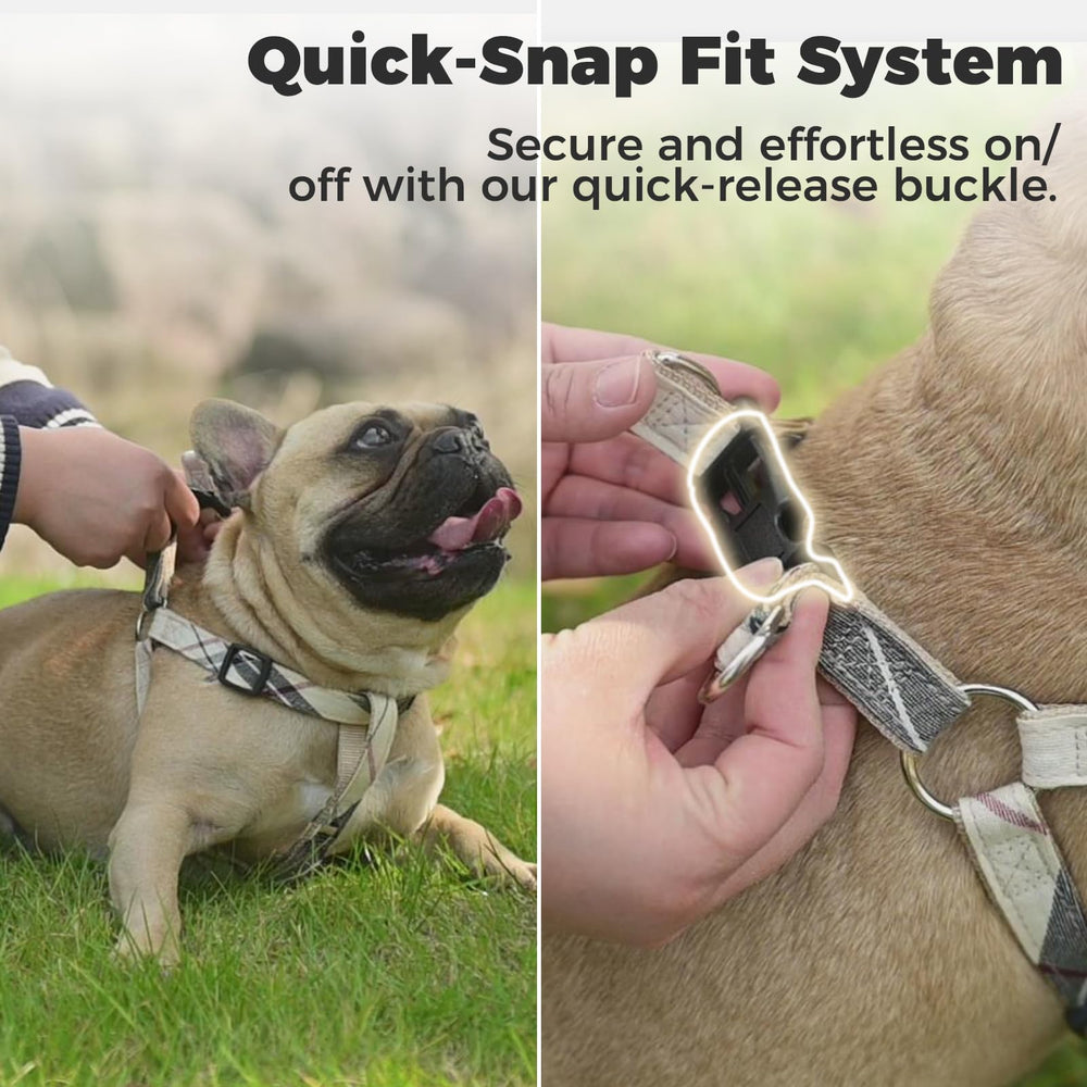 BINGPET dog harness leash hook shown with its rotating connection.