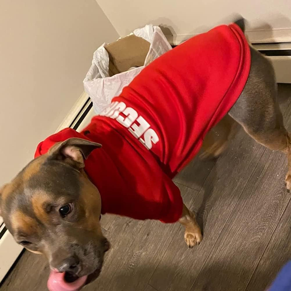 BINGPET Security Dog Hoodie showing the screen-printed back lettering.
