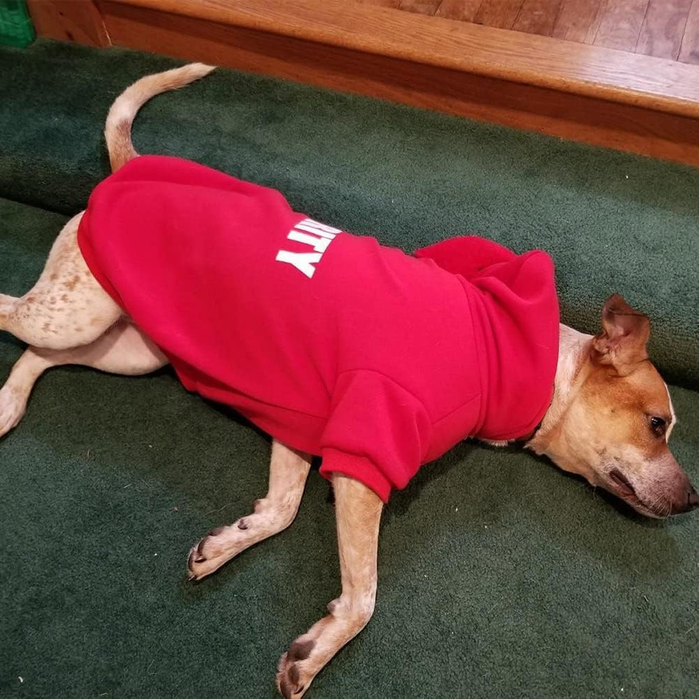 BINGPET Security Dog Hoodie size chart with neck, chest, and back measurements.