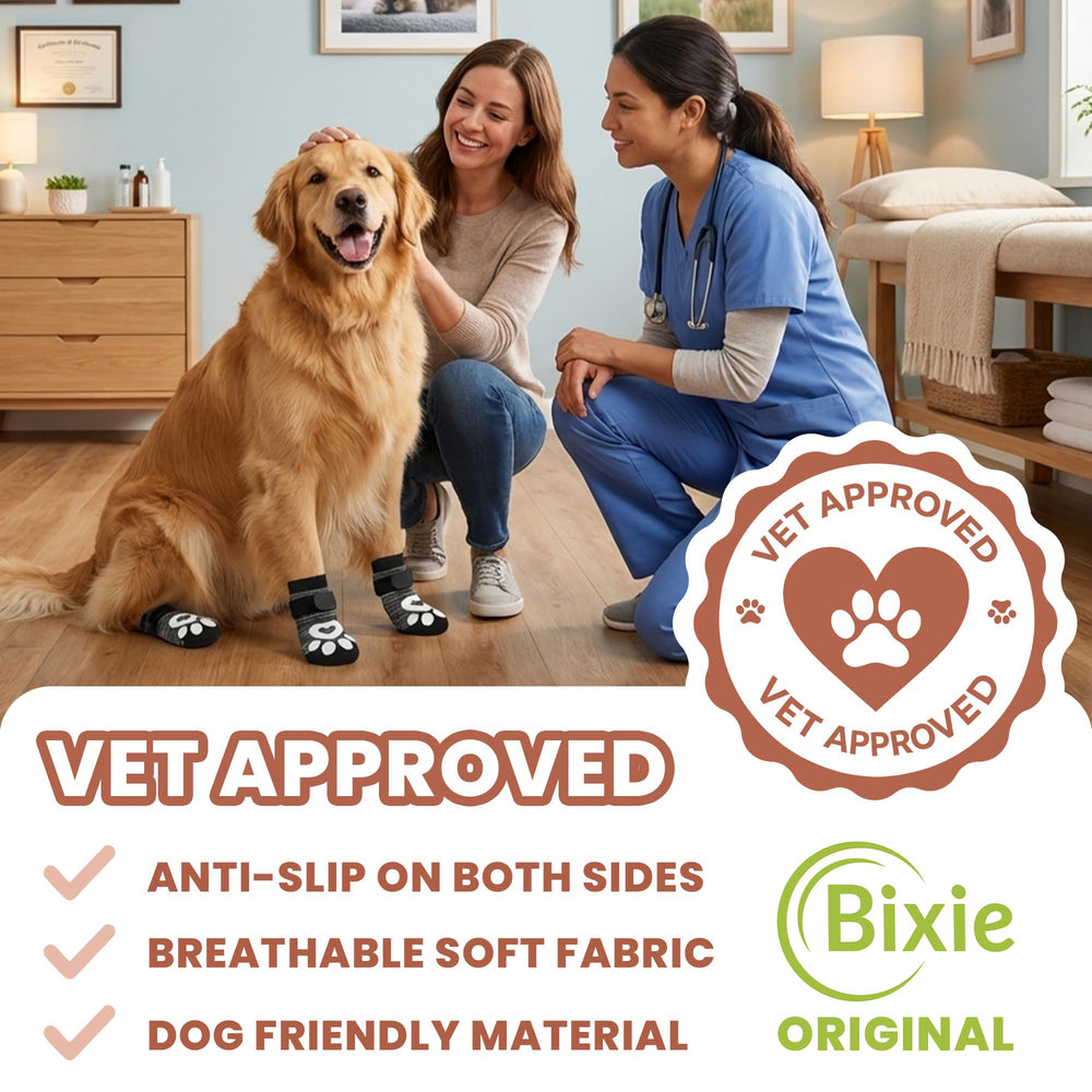 Bixie anti-slip dog socks shown on a dog walking across a floor.