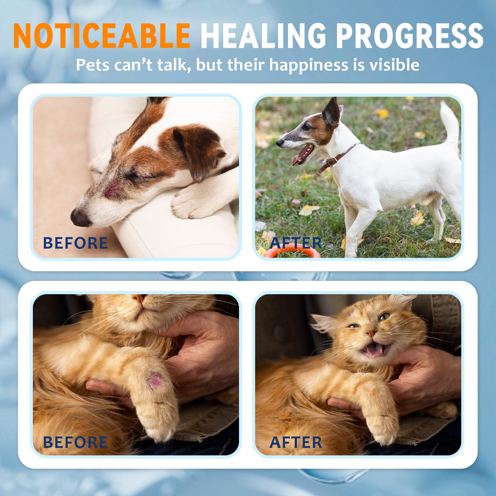 Blessmeet Pet Wound Care Hydro Gel shown for cat skin care.