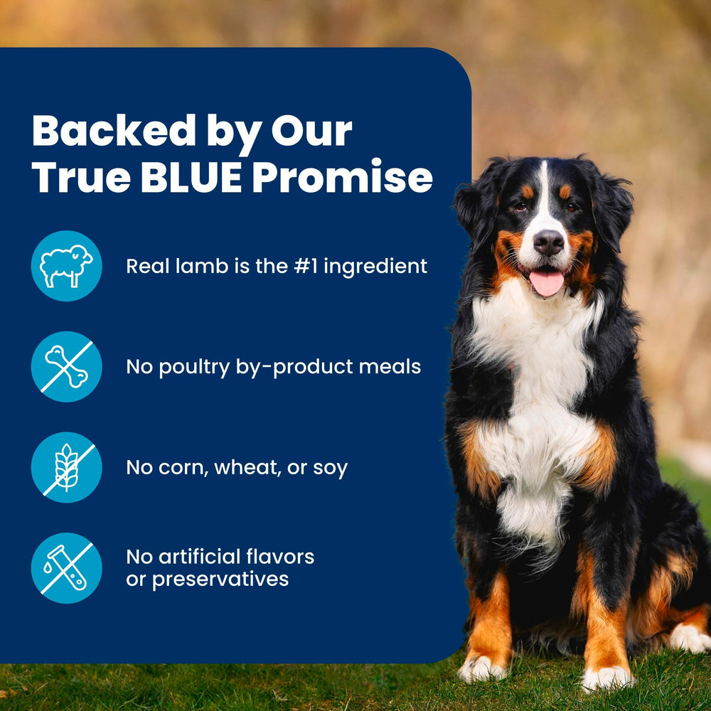 Blue Buffalo dry dog food Adult Recipe label for Lamb and Potatoes.