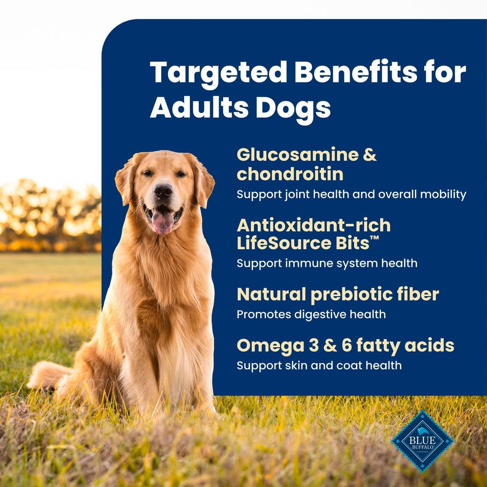 Blue Buffalo dry dog food label highlighting lamb as the first ingredient.