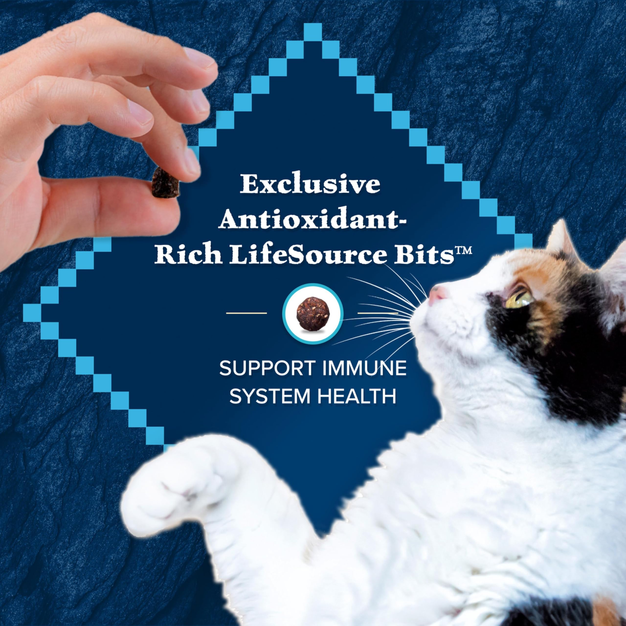 Blue Buffalo duck dry cat food packaging identifying the grain-free formula.