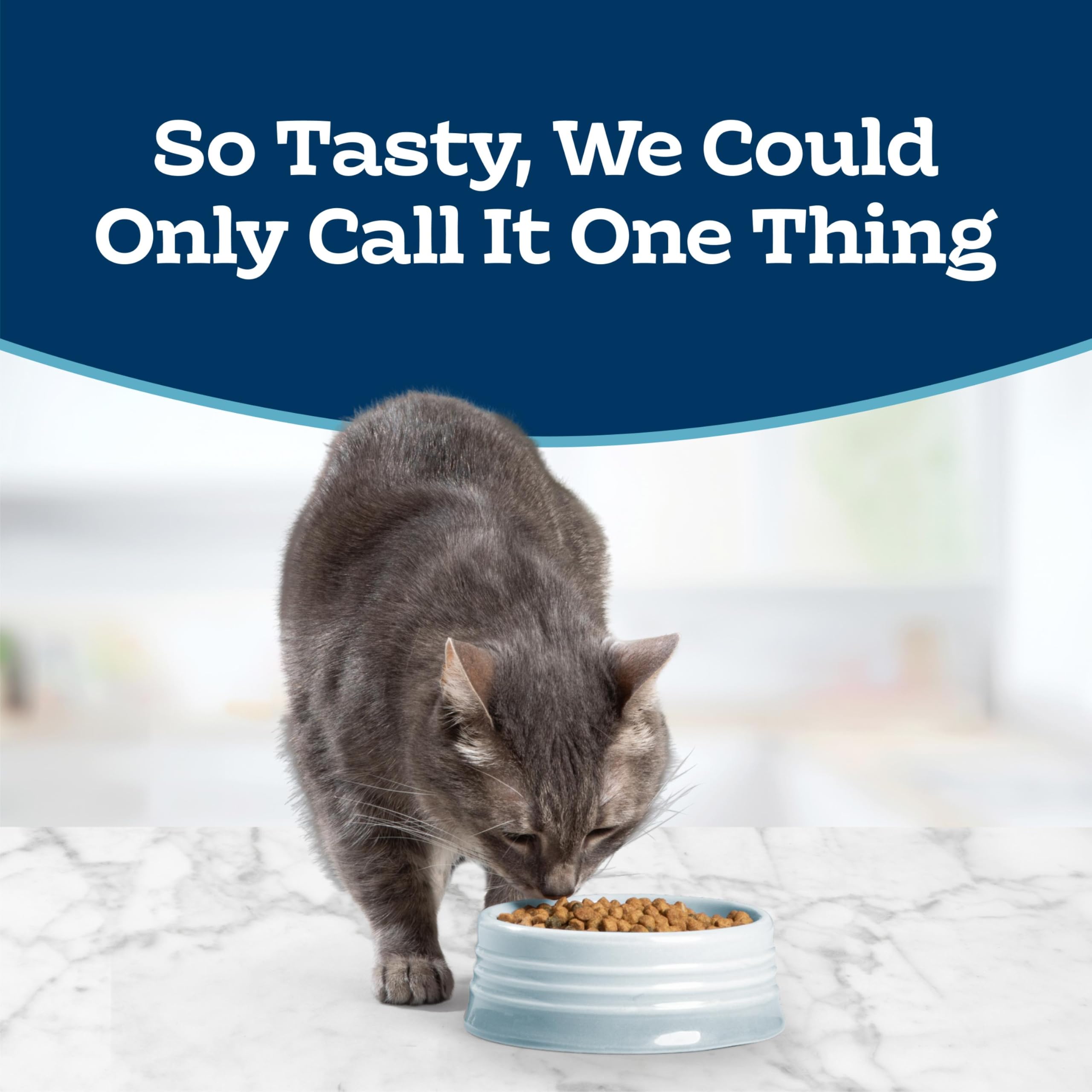 Blue Buffalo Tastefuls dry cat food highlights real chicken as its first ingredient.