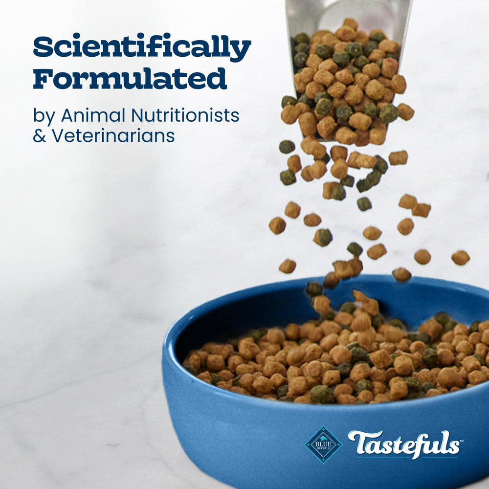 Blue Buffalo Tastefuls dry cat food packaging highlights recipe ingredients and benefits.