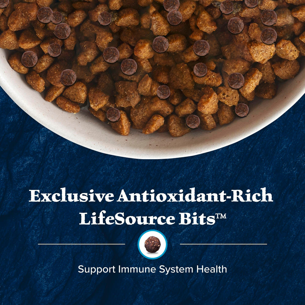 Blue Buffalo Wilderness Puppy Dry Dog Food presented as a grain-free recipe.