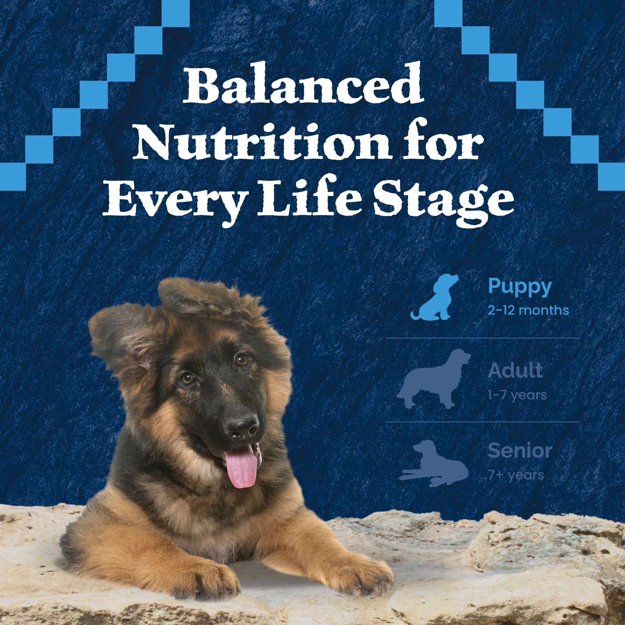 Blue Buffalo Wilderness Puppy Dry Dog Food shown from the side of its package.