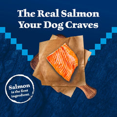 Blue Buffalo Wilderness Senior dog food protein information for senior dogs.