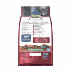 BLUE WILDERNESS Salmon Adult Dry Dog Food bag shown at an angle.