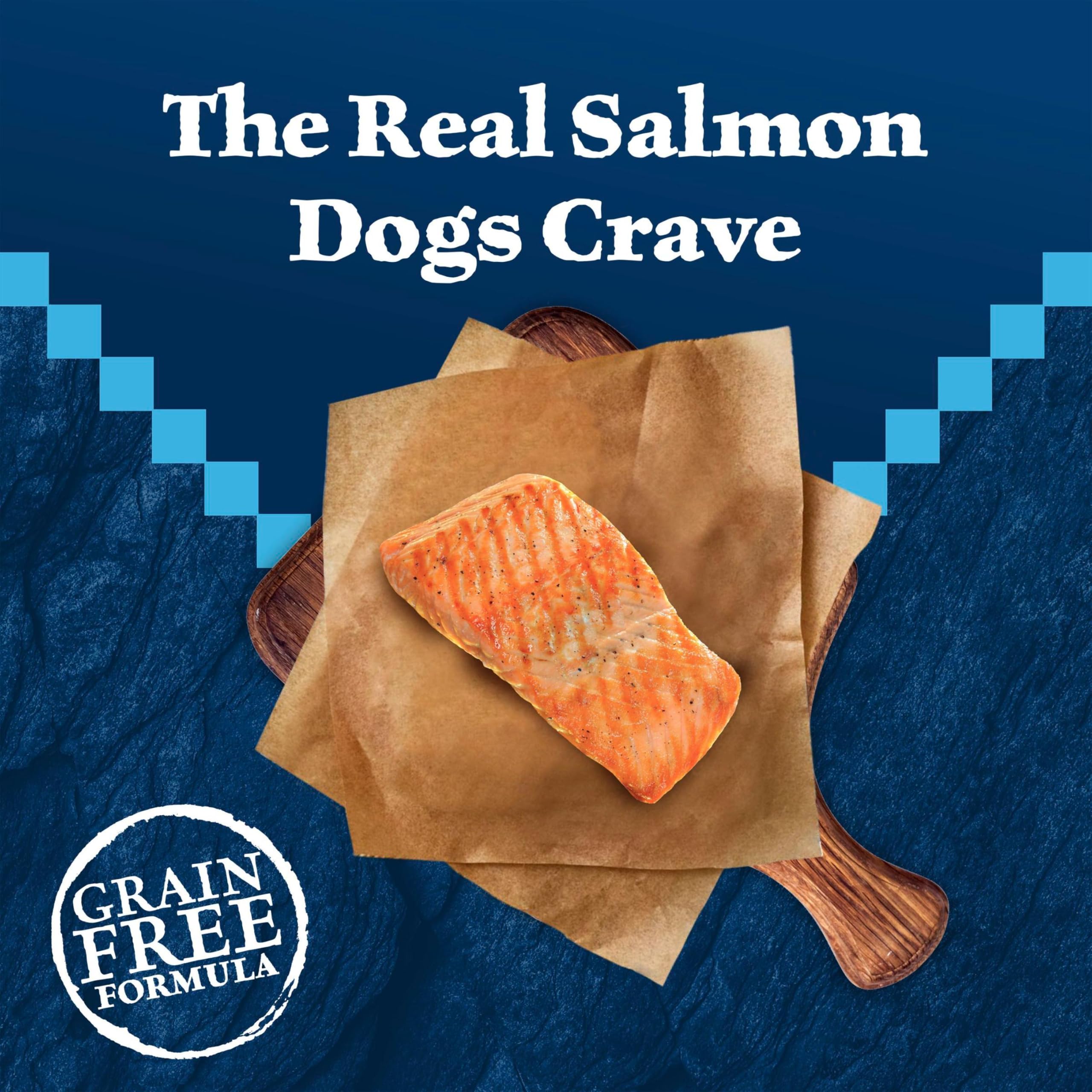 BLUE WILDERNESS Salmon Adult Dry Dog Food kibble shown in close detail.