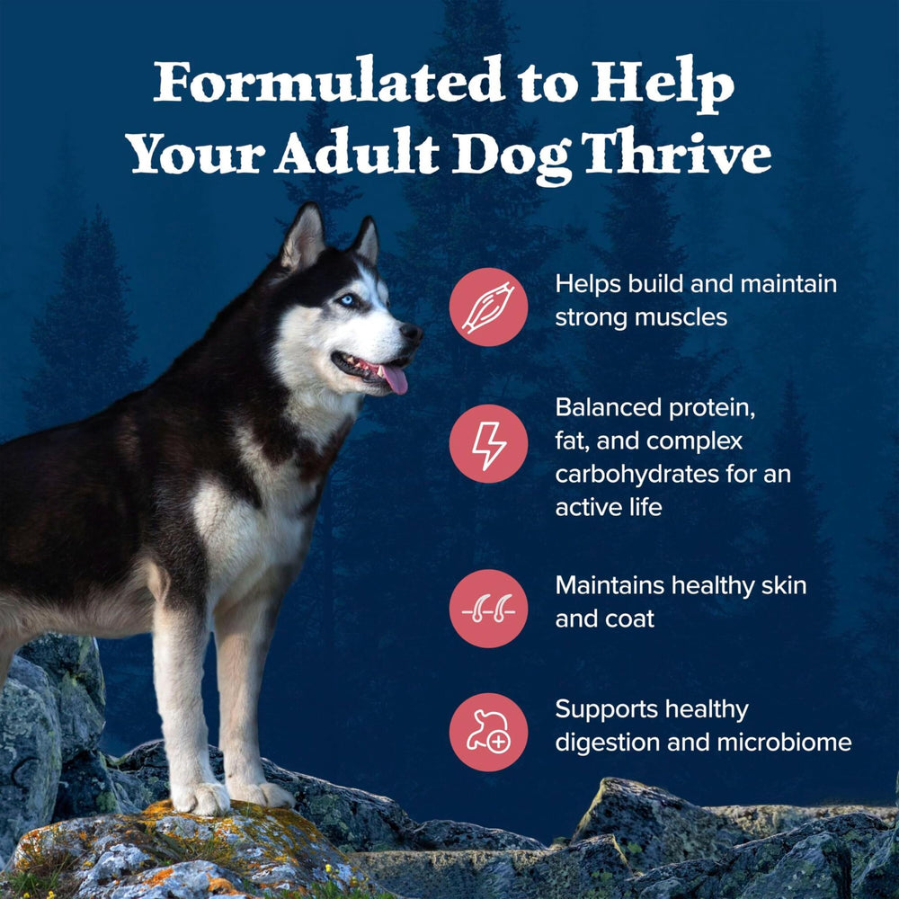 BLUE WILDERNESS Salmon Adult Dry Dog Food packaging featuring LifeSource Bits.