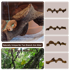 BNOSDM reptile climbing branches shown from an alternate viewing angle.