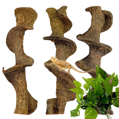 BNOSDM reptile climbing branches shown together with the leaf decoration.