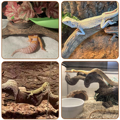 BNOSDM reptile climbing branches arranged as habitat decor inside a terrarium.