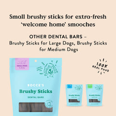 Bocce's Bakery Brushy Sticks treats arranged to show their shape and texture.