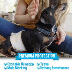 Bodhi Dog male dog wrap detail showing its color-changing wetness indicator stripes.