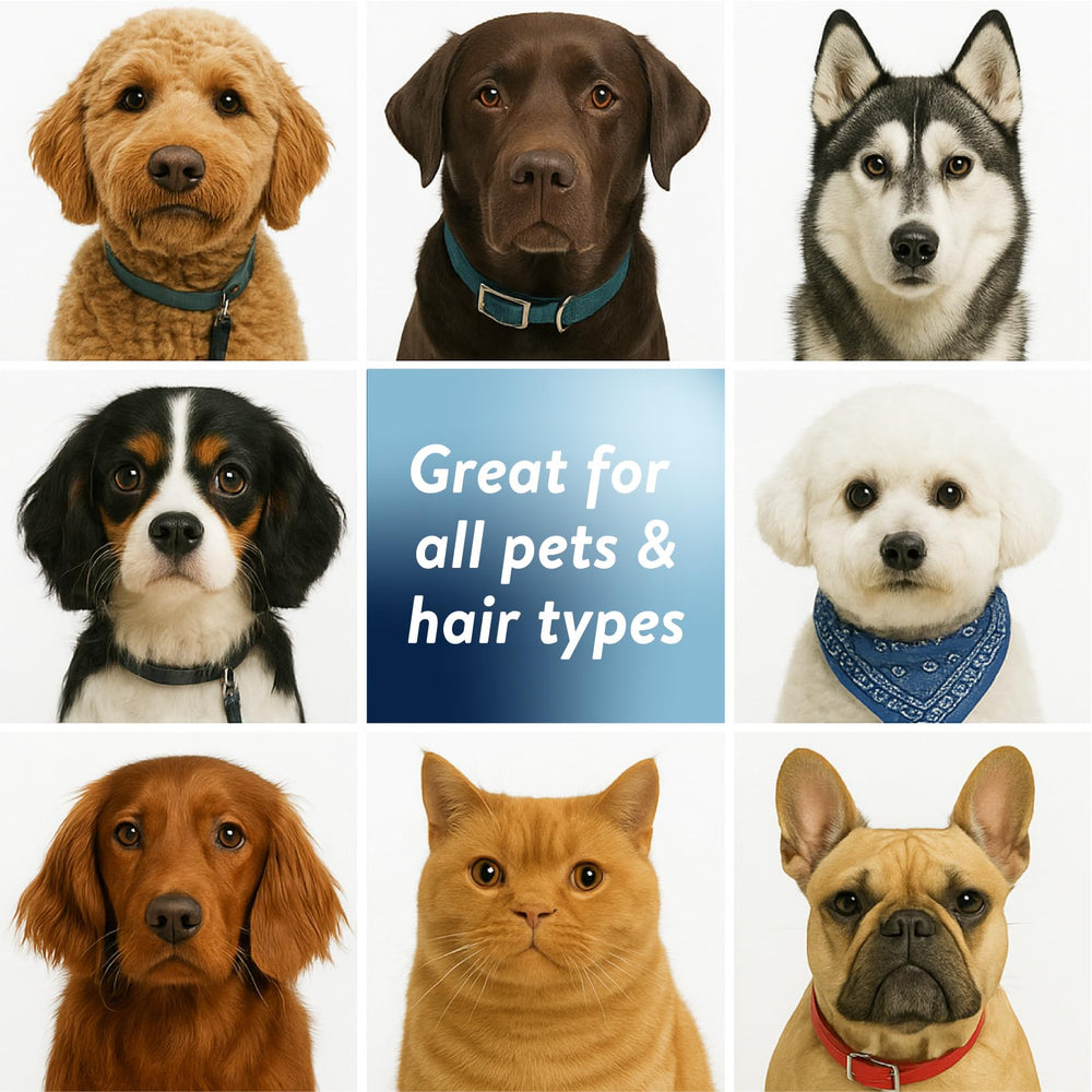 Bodhi Dog Waterless Shampoo for freshening pet bedding.