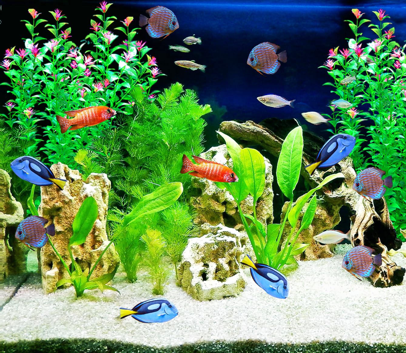 BOLYEE aquarium plants shown with the removable middle trunk section for height adjustment.