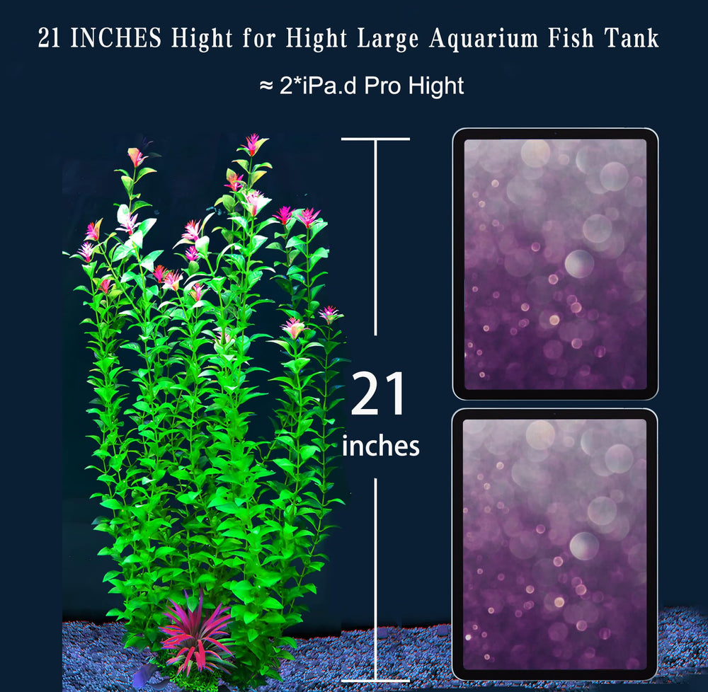 BOLYEE aquarium plants shown close up with their spread of individual branches.