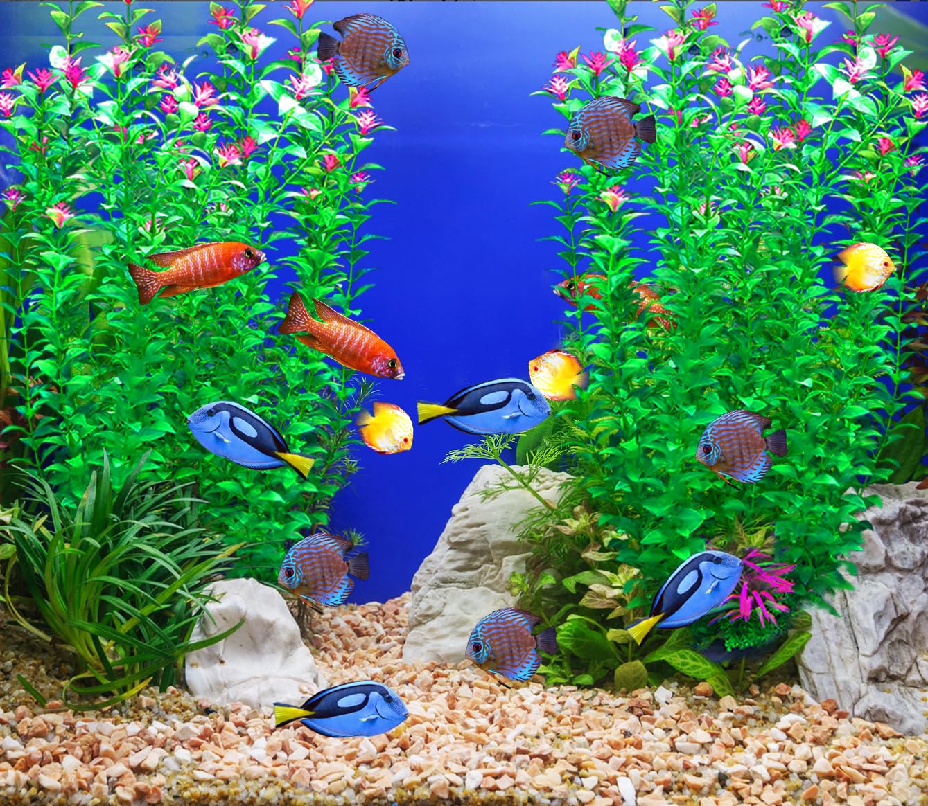 BOLYEE aquarium plants showing the connection between the trunk sections.