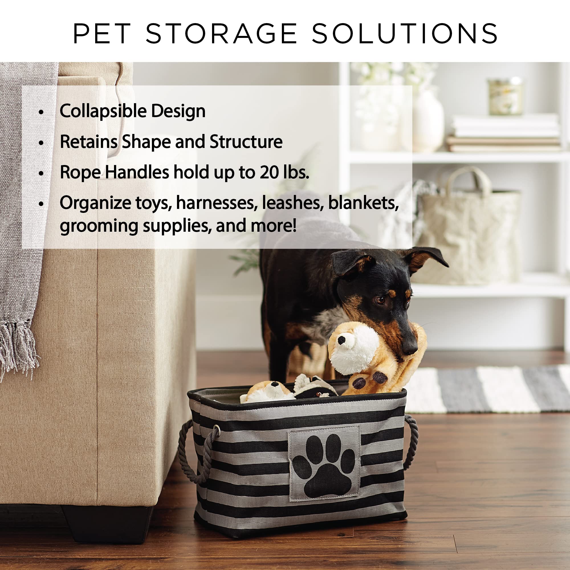 Bone Dry pet storage bin displayed as a decorative pet-storage piece in a home setting.