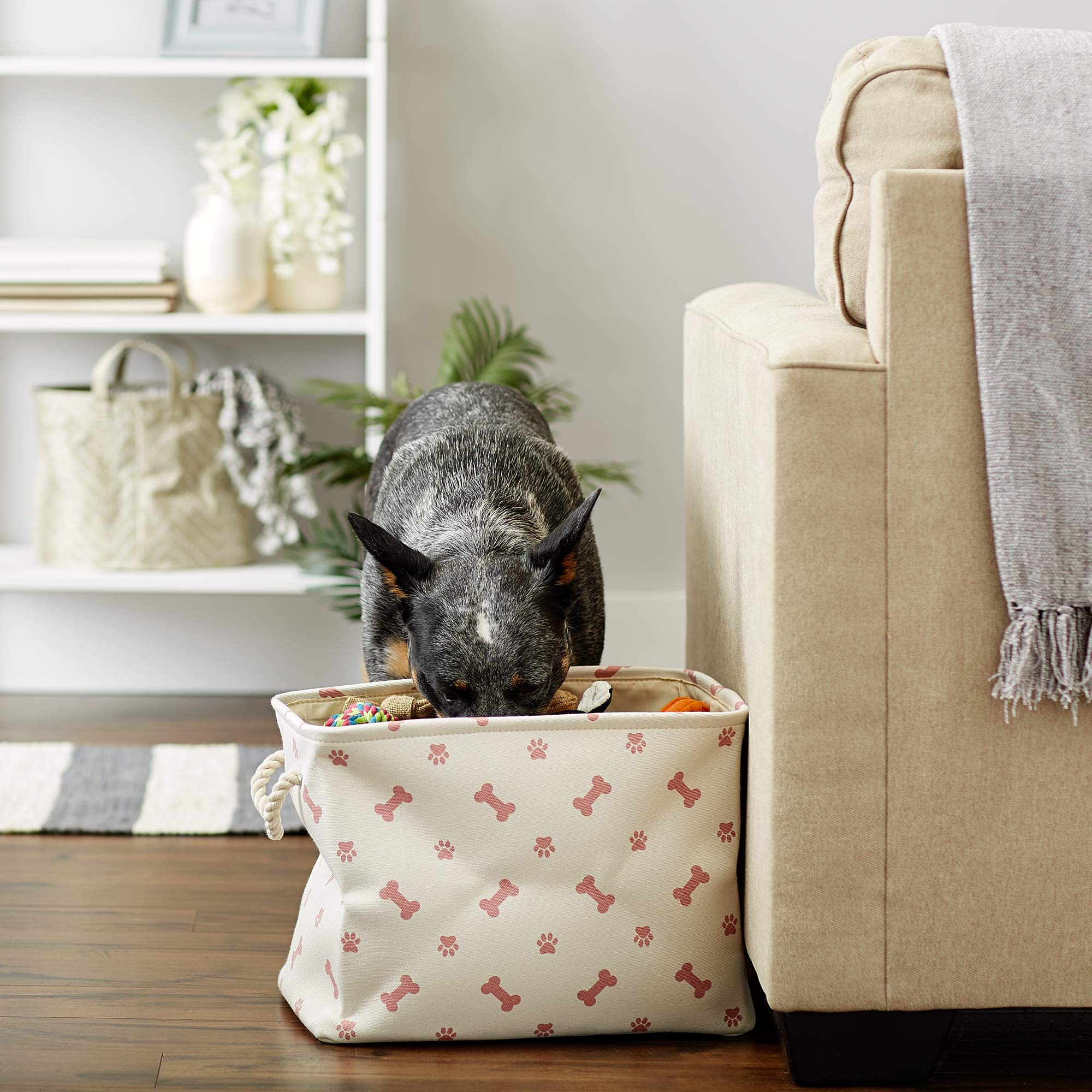 Bone Dry pet storage bin shown from above to display its interior.