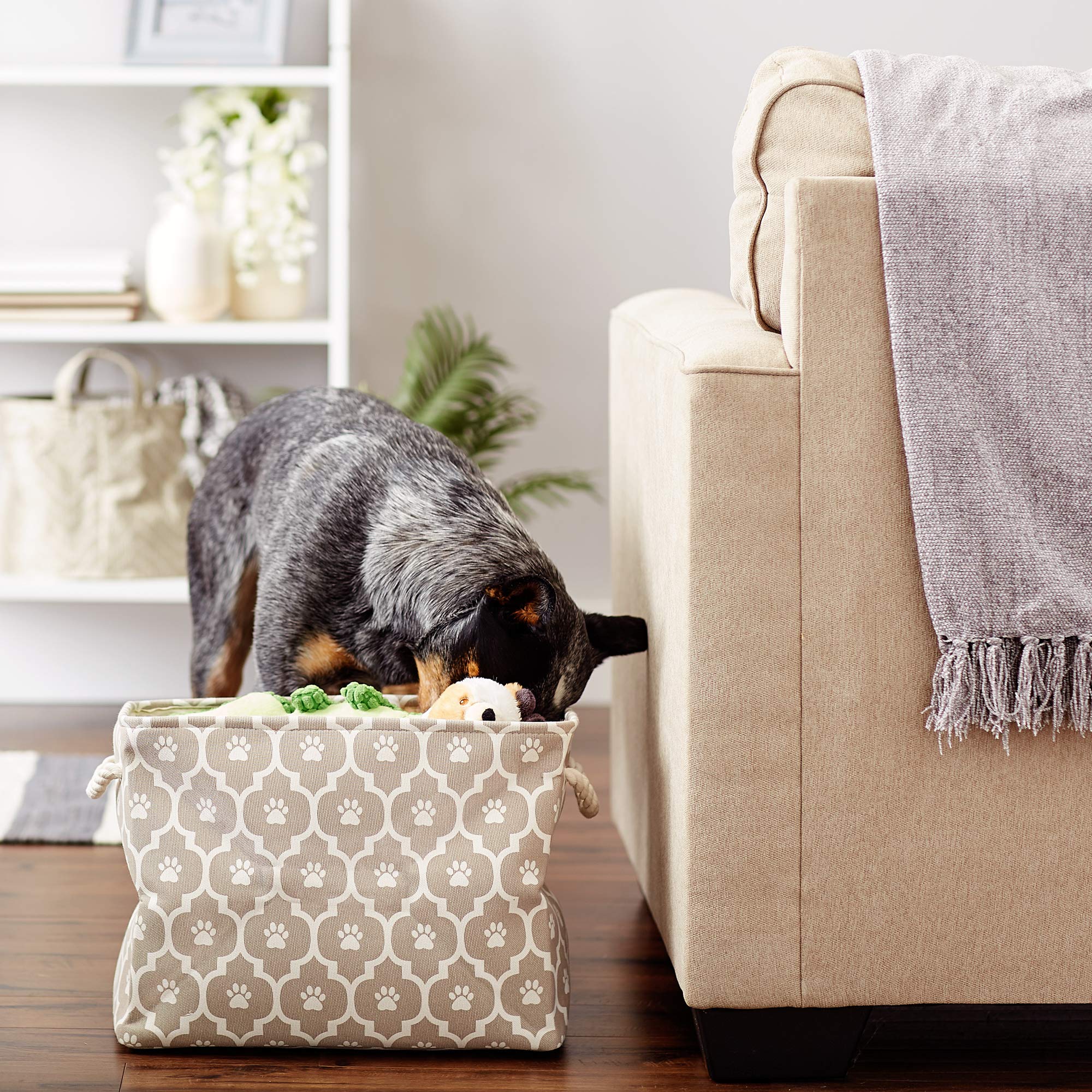 Bone Dry pet storage bin shown from the side to display its profile.