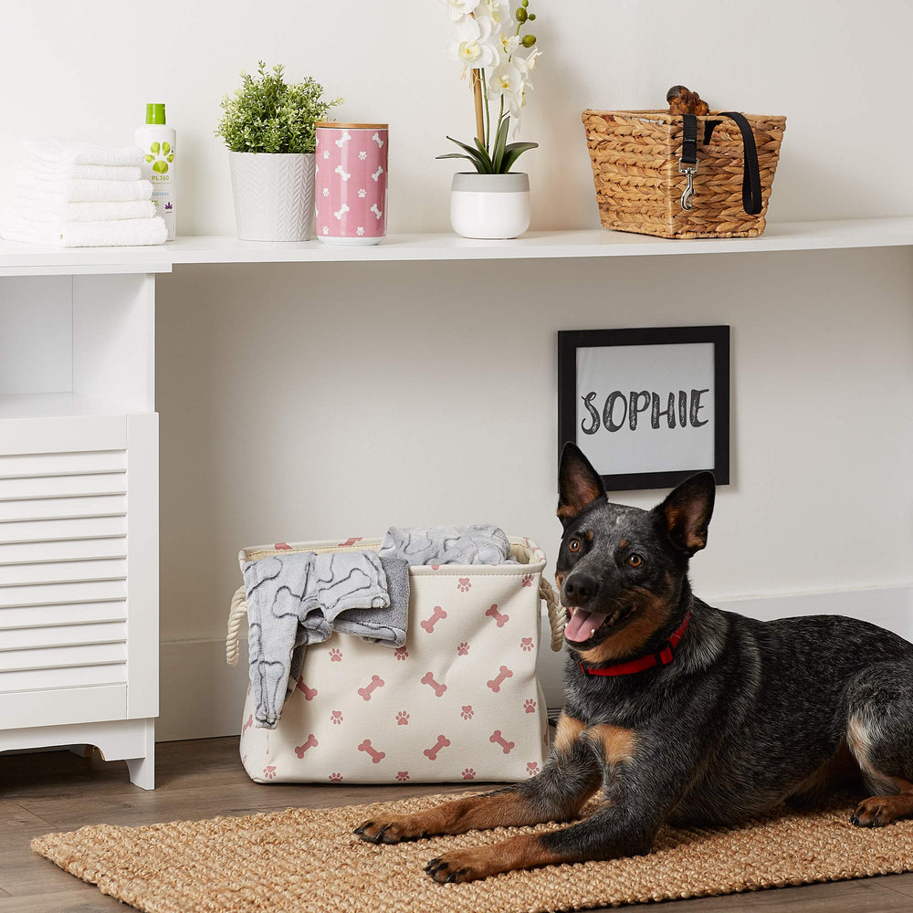 Bone Dry pet storage bin shown standing upright in its rectangular profile.