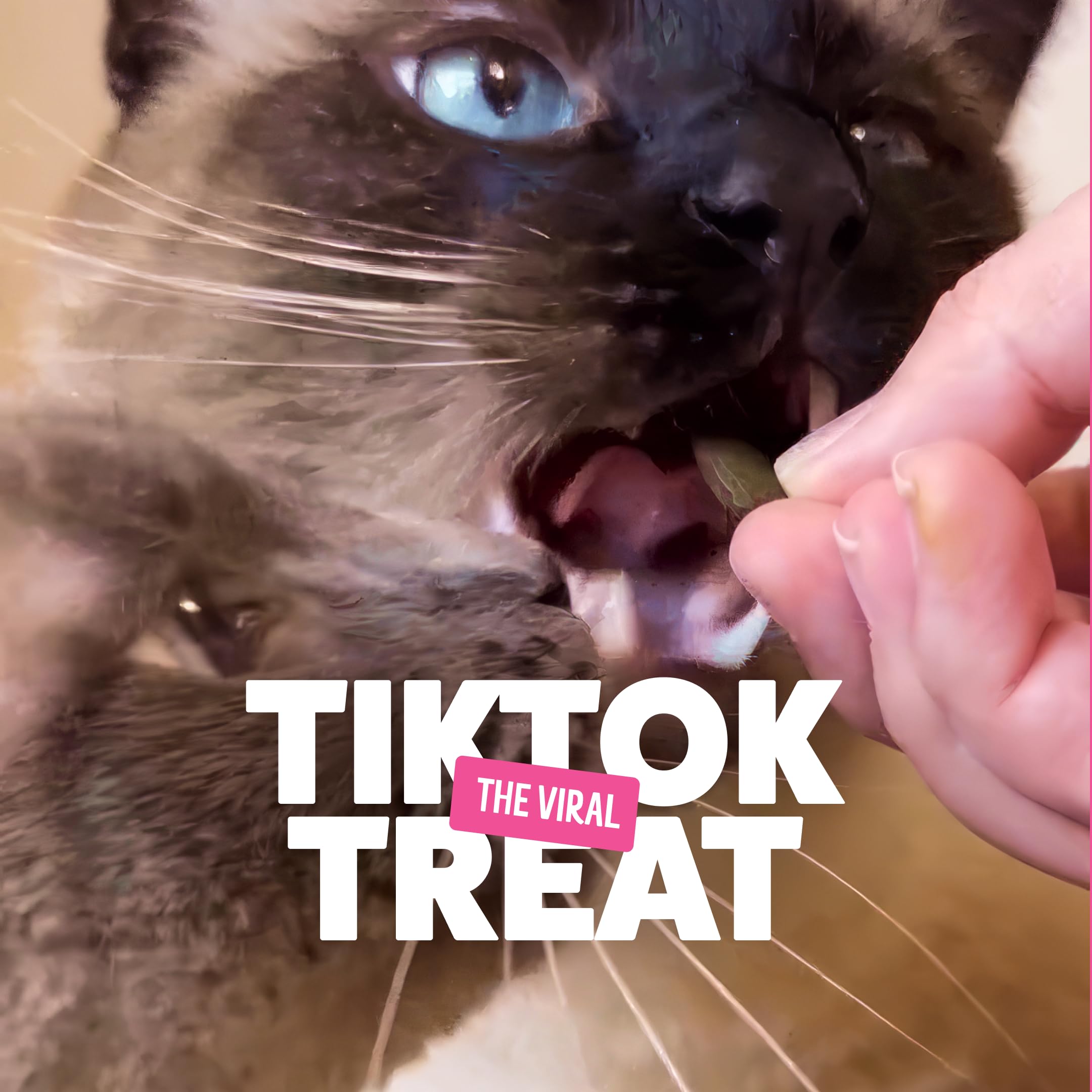 BONKERS cat treats showing the crunchy exterior and gooey center.